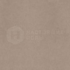 CA00 Серо-бежевый Неполированный, 600*600*9 мм