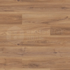 2849 Дуб Бонэйр, 2003*245*12 мм