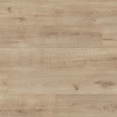2855 Дуб Джерси, 2003*245*12 мм