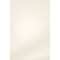 Потолочно-стеновые панели Meister Madera 200 шпонированные 073 Белый ясень