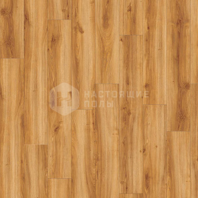 ПВХ плитка замковая IVC Moduleo Transform Wood 24438P Дуб Классический, 1316*191*4.5 мм