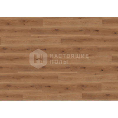 ПВХ плитка замковая Wineo Kingsize CEI5002BA Дуб Вестерн