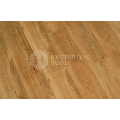 ПВХ плитка замковая Wineo Bacana Wood CAP6051BA Яблоня Золотая