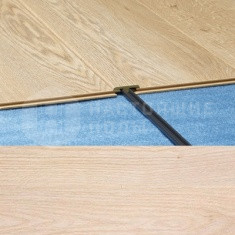 730 Дуб Миндальный