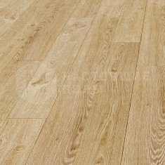 692 Дуб имперский