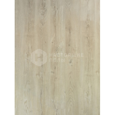 Ламинат BerryAlloc Essentials 62000053 Дуб Венера однополосный