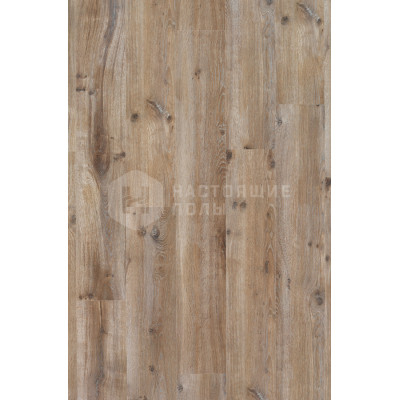 Ламинат BerryAlloc Loft 62000149 Дуб Зимний Сад однополосный