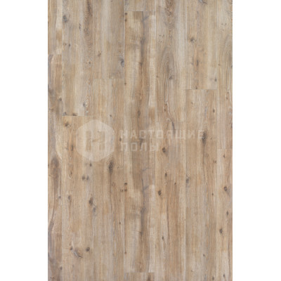 Ламинат BerryAlloc Elegance 62000124 Дуб Зимний Сад однополосный Ламинат BerryAlloc Elegance 62000124 Дуб Зимний Сад однополосный