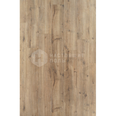 Ламинат BerryAlloc Elegance 62000125 Дуб Зимний однополосный