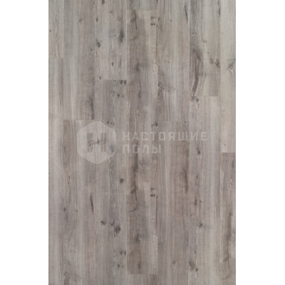 Ламинат BerryAlloc Elegance 62000126 Дуб Серебристо-серый однополосный