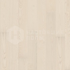 Ясень Аалборг