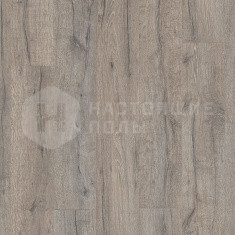 BACL40037 Дуб Хисторик серый