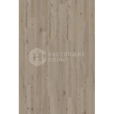 Паркетная доска Quick-Step Parquet Palazzo PAL3094 Дуб горный промасленный однополосный Паркетная доска Quick-Step Parquet Palazzo PAL3094 Дуб горный промасленный однополосный