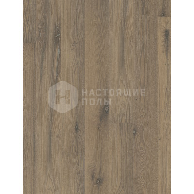 Паркетная доска Scheucher Parkett Elevation 182 Дуб Тасосс брашированный под натуральным маслом однополосный, 2200*182*14 мм