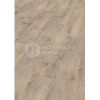 Ламинат Wineo 500 large V2 LA059LV2 Дуб Волна Кремовый Ламинат Wineo 500 large V2 LA059LV2 Дуб Волна Кремовый