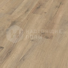 6439 Дуб терра треснувший однополосный