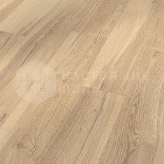 6273 Дуб чистый уникальный однополосный