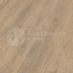 6420 Дуб бариста однополосный