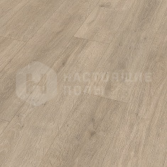 6429 Дуб Хабанера однополосный