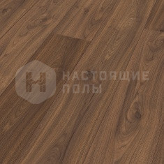 6389 Орех Аморе однополосный