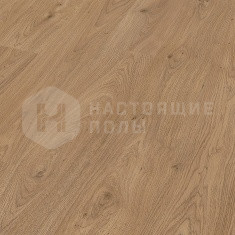 6392 Дуб кьянти однополосный