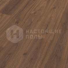 6389 Орех Аморе однополосный