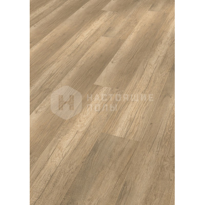 Ламинат Meister LD 200 6259 Дуб эллинг светлый однополосный