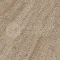 6412 Дуб Аркадиа однополосный