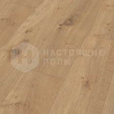 6385 Дуб Дакар однополосный