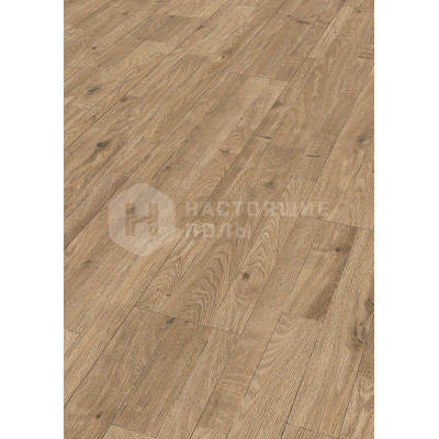 Ламинат Meister LD 300 | 25 Melango 6411 Дуб баррик однополосный