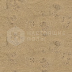 Дуб Burl однополосный