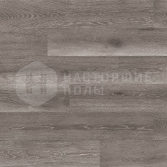 Дуб Platinum однополосный