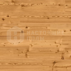 Лиственница Spice однополосная