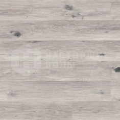 Дуб Blanc однополосный