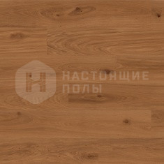 Дуб Camel однополосный