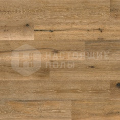 Дуб Bisque однополосный