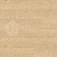 Береза Apple однополосный