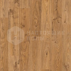 UF1493 Доска дуба белого натур