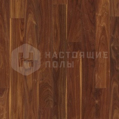 RIC1415 Орех пасифик