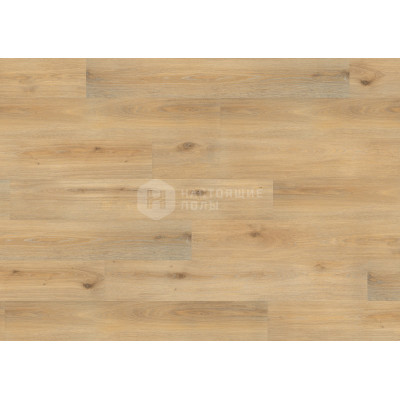 Органические биополы Wineo Purline 1000 Wood PLC043R Островной Дуб Мед