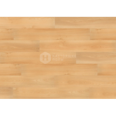 Органические биополы Wineo Purline 1000 Wood PLC047R Бук Летний