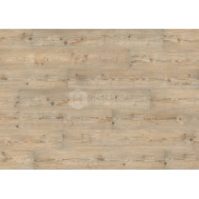 Органические биополы Wineo Purline 1000 Wood PLC052R Сосна Аскона Натур