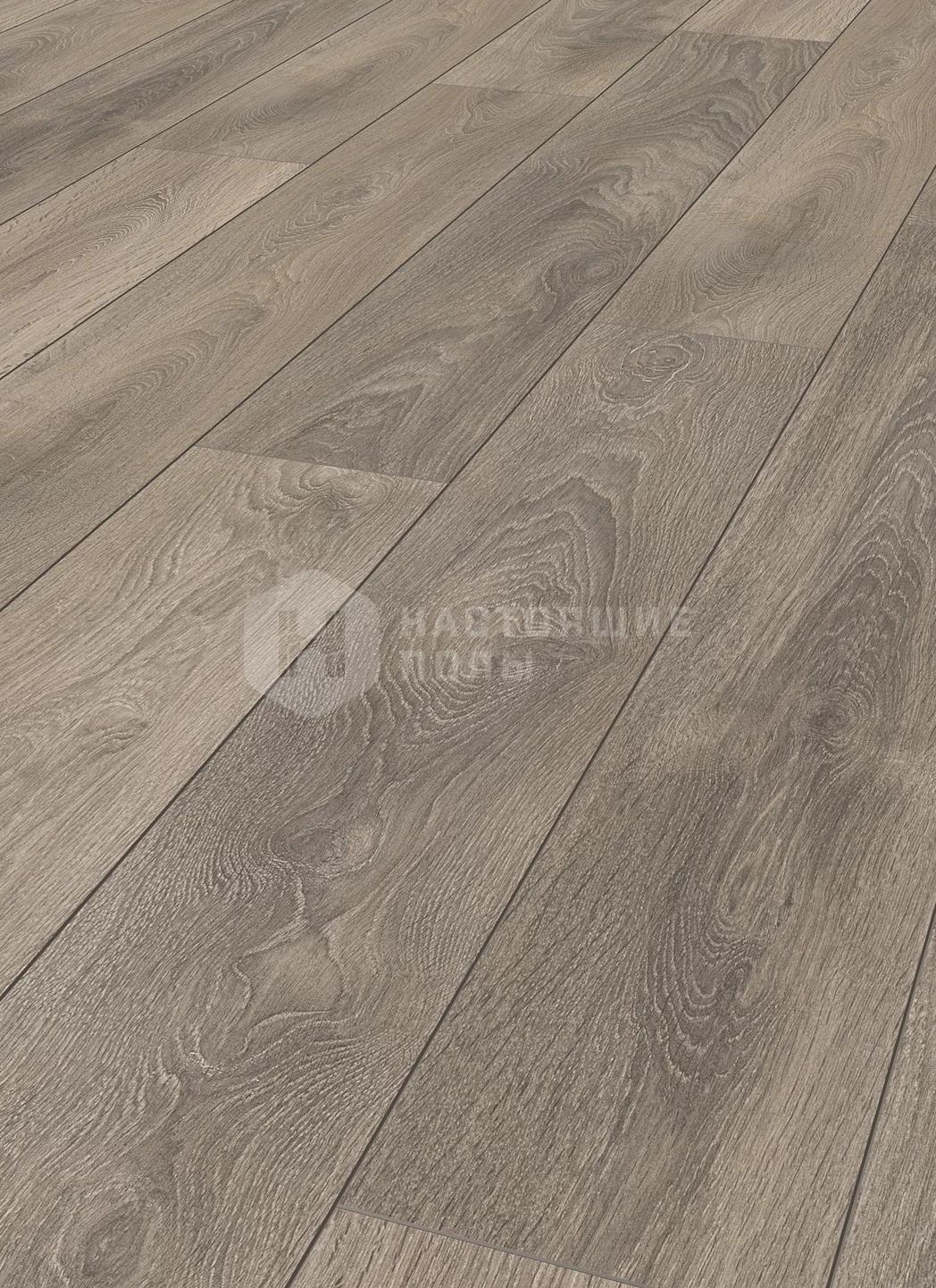 Полы ламинат холодные. Ламинат Krono Original super natural Classic Castle Oak 8631. Дуб Хаммонд ламинат. Дуб Фаррелл ламинат. Дуб Супремо ламинат.