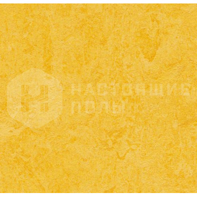 Натуральный линолеум замковый Marmoleum click 333251 Lemon zest 300*300*9.8 мм