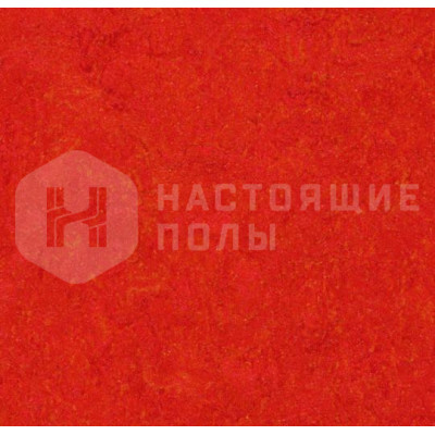 Натуральный линолеум замковый Marmoleum click 333131 Scarlet 300*300*9.8 мм
