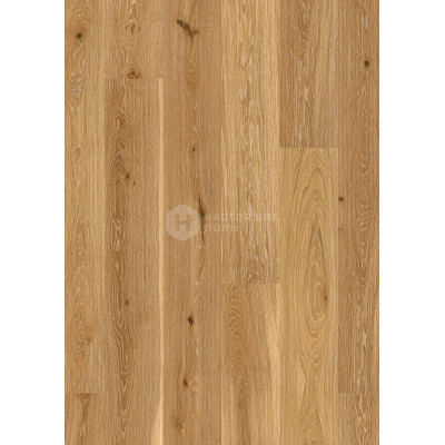 Паркетная доска Boen Stonewashed OGGV4KFD Дуб Old Grey Анимозо брашированный однополосный, 2200*209*14 мм Паркетная доска Boen Stonewashed OGGV4KFD Дуб Old Grey Анимозо брашированный однополосный, 2200*209*14 мм