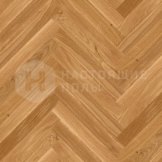 Дуб Бэйсик под матовым лаком