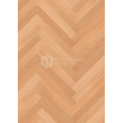 Паркет Елочка Boen Economy BDF23K4D Бук Натур под маслом