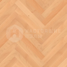 Бук Bellevue под маслом