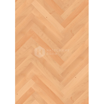 Паркет Елочка Boen Economy BDF26K4D Бук Bellevue под маслом Паркет Елочка Boen Economy BDF26K4D Бук Bellevue под маслом